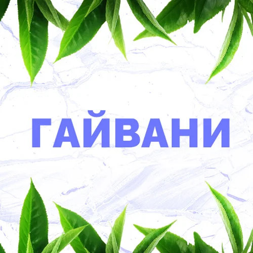 Гайвани