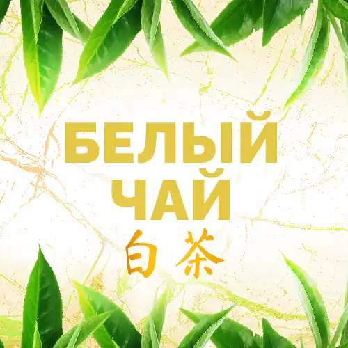Белый Чай